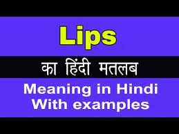 lips meaning in hindi lips क अर थ य