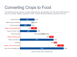 Cascade Chart Waterfall Chart Of Crop Conversion To Food