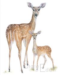 Deer Print Inspiring Nursery