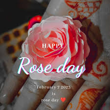 rose day images the ara world