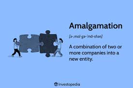 amalgamation definition pros and cons