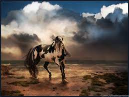 Wild Horse Free Desktop Backgrounds ...
