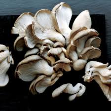 growing mushrooms at home is easier