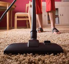 Moo Dry Carpet Cleaner