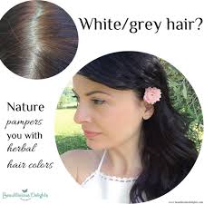 Spotting a grey hair amongst your tresses can be a rather distressing experiencing for few. Dark Purple Hair Blue Black Hair Or Jet Black Hair Using Katam Or Ind Beautilicious Delights