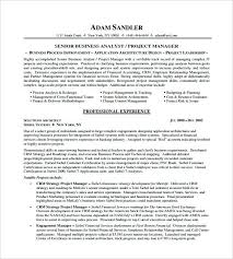 Project Manager Sample Resumes Senior Project Manager Resume Sample