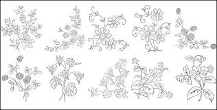 flower type of line drawing vector