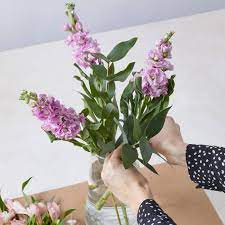 Shop flowers and plants at m&s. Flowers Plants Online Free Next Day Flowers Delivery M S