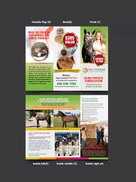 flyer design for on course equine
