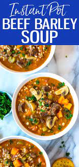 Instant Pot Beef Barley Soup Eating Instantly gambar png