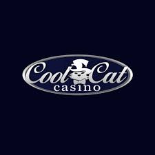 It is one of nine online casinos that are owned by wisol international. Cool Cat Casino Review Honest Casino Review From Casino Guru