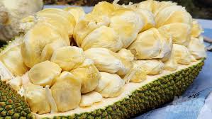 14 facts about jackfruit facts net