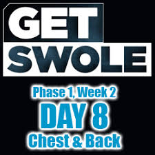 get swole workout program review