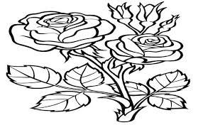 How to draw a rose flower coloring pages for kids. Cara Mewarnai Bunga Yang Bagus Cute766