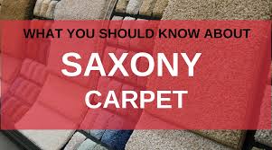 triexta carpet carpet depot