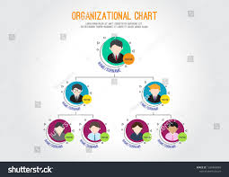 Organizational Chart Corporation Business Hierarchy Vector