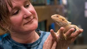 An online reptile pet store lives or dies from their online presence. Exotic Reptile Store Near Me