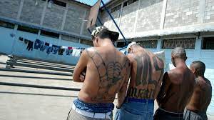 Originally, the gang was set up to protect salvadoran immigrants from other gangs in the los angeles area. Trump We Re Going To Destroy Ms 13 Cnn