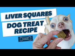 diy liver squares dog treats for