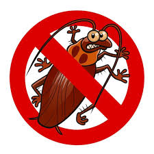 how to get rid of roaches in car in 5