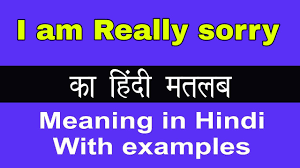 i am really sorry meaning in hindi i am