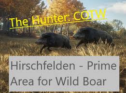 Don't forget to bookmark call of the wild hirschfelden map using ctrl + d (pc) or command + d (macos). Steam Community Guide Hirschfelden The Prime Spot For Wild Boar