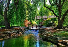 Backyard Japanese Zen Garden