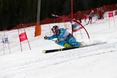 Image result for how do you say slalom course?: