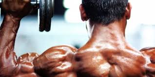 build strong round shoulders fast