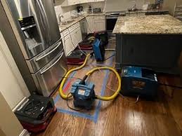water damage mold removal and fire