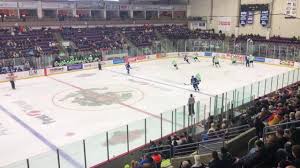 Video Watch As Elmira Enforcers Host Nypd In Exhibition