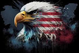patriot stock photos images and