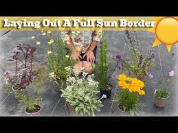 cote garden border for full sun