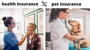 Plans covering wellness, illness, emergency & more. 5 Most Popular Pet Insuarance Companies From Reddit Users 2021 Reviews