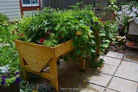 vegtrug planter with vegetables