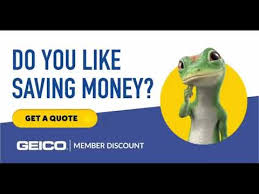 Check spelling or type a new query. Car Insurance Start A Free Auto Insurance Quote Geico Auto Insurance Youtube