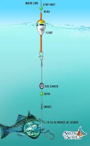 Slip Bobber Rig Float Fishing Salty Scales