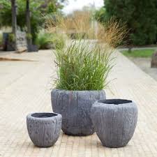 Image result for free cement pots for plant stock photos