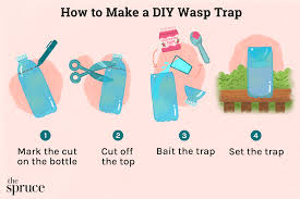 how to make a diy wasp trap
