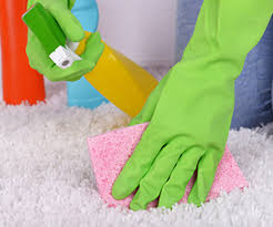 why to avoid diy carpet cleaning ja