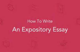     statement is help writing argumentative essays not about others   Maintain the readers interest by providing clear and logical flow like a  story from the    