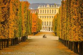 vienna highlights a fall garden tour