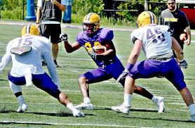 Ualbany Football Depth Chart Comes Into Focus The Daily