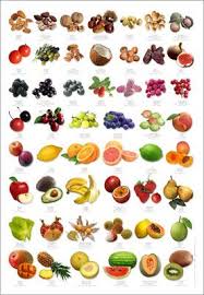 Fruit Identification Poster In 2019 Fruit Food Facts Dog