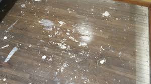 remove paint from hardwood floors