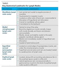 Lymphadenectomy Overview Of Surgical Anatomy Removal Of