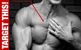 chest exercise hit upper inner pecs
