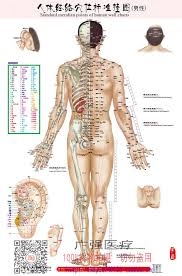 Us 17 82 Standard Meridian Points Of Human Wall Chart Female Male Acupuncture Massage Point Map Flipchart Hd 3 Chinese English Women In Massage