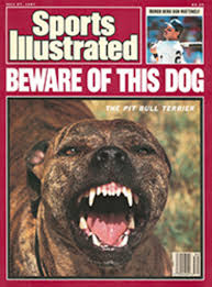 Written by hilary henkin and david mamet. The Pit Bull Friend And Killer Sports Illustrated Vault Si Com