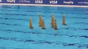 It seems like olympic swimming sprinters are actually superhuman. Pin By Joseph Candelario On The Pyramid Swimming Gif Synchronized Swimming Swimming